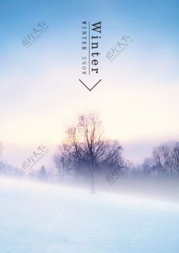 白色树冬天雪景漂亮的海报