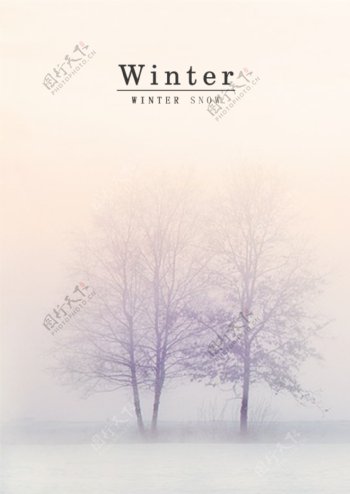 白色冬季雪景肝药海报