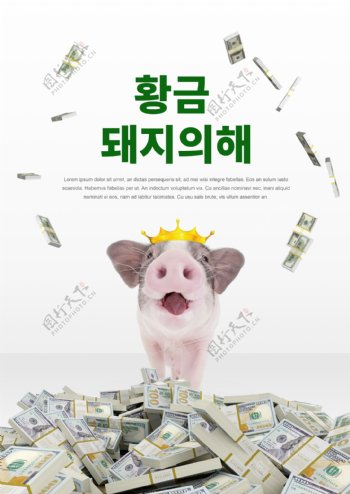 金猪年到2019年的海报