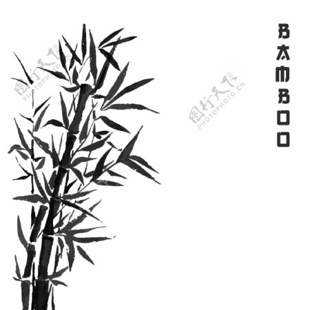竹树日本植物或树传统相扑画