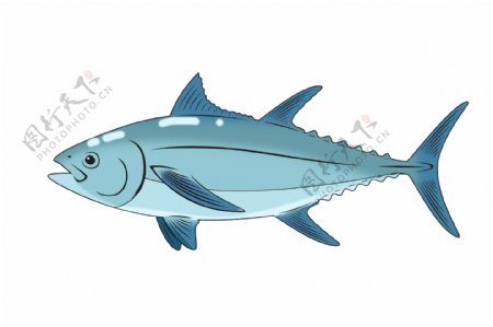 手绘海鲜蓝色鱼插画