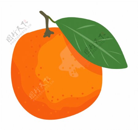 手绘春季水果橘子插画