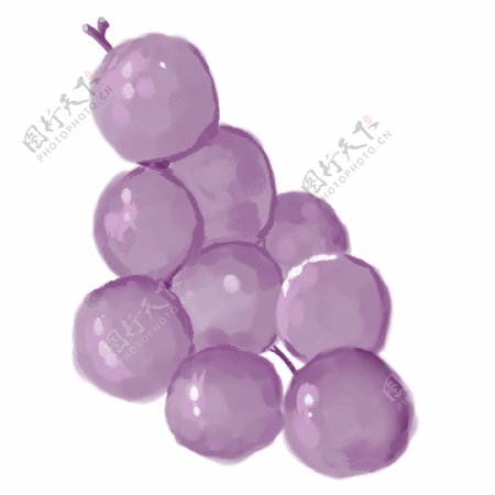葡挞藕紫色水果维生素