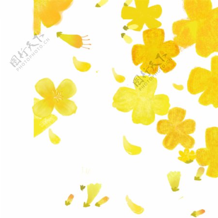 黄色水彩花朵装饰图案