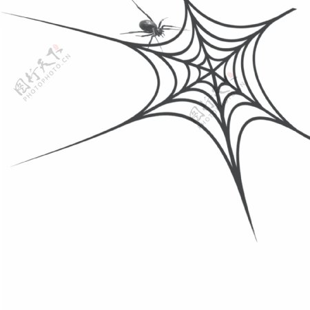 蜘蛛网黑色网状蜘蛛网元素