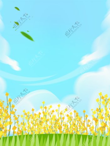 蓝色天空白云微风草地菜花背景图