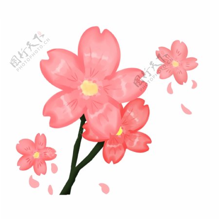 粉嘟嘟的樱花插图