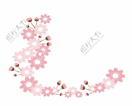 粉色樱花装饰插图