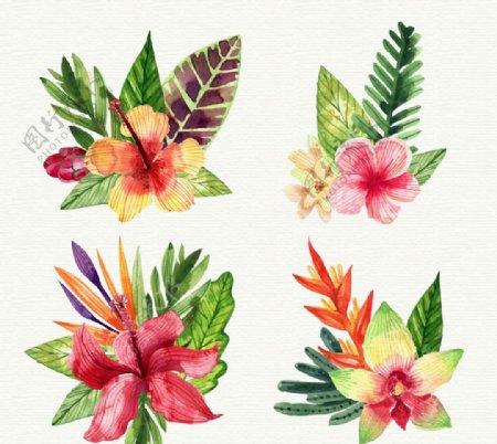 水彩绘热带花卉和叶子