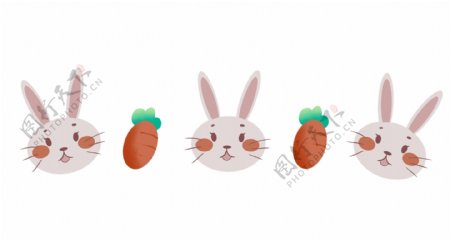可爱兔子分割线插画