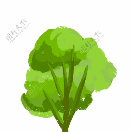 枝叶繁茂的绿色大树