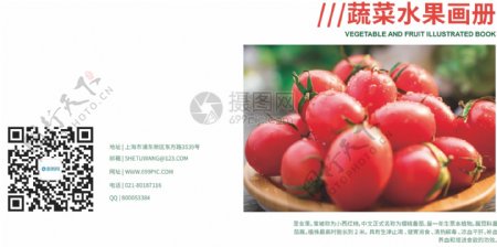 时尚大气红色蔬菜水果画册封面