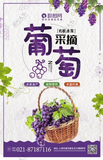 采摘葡萄应季新鲜有机水果促销海报
