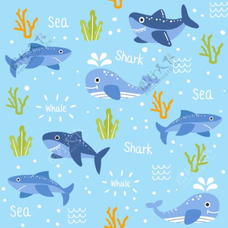海洋动物和文字图案