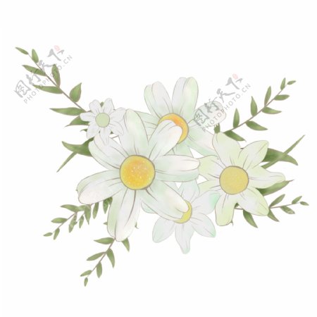 手绘春天植物白色花插画