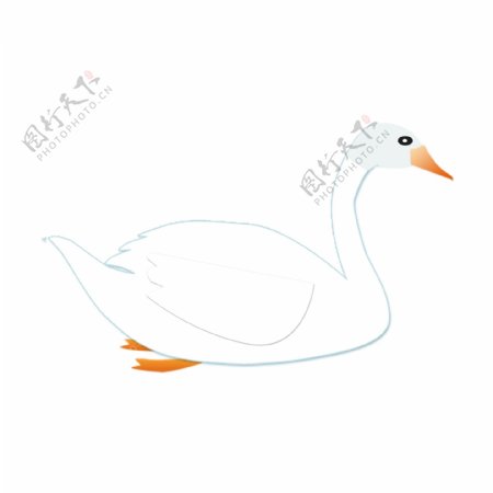 白色鸭子装饰图案元素