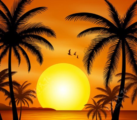美丽夕阳下的大海沙滩风景