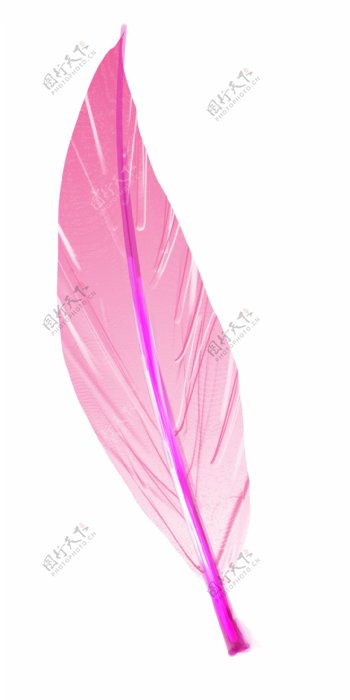 粉色漂浮羽毛