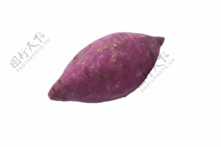 绿色种植营养紫薯