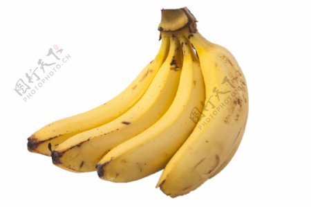 一串美味的大香蕉