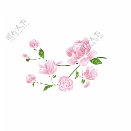 卡通粉色花朵装饰