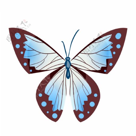 蓝色蝴蝶动物插画