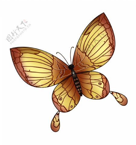 黄色的蝴蝶装饰插画