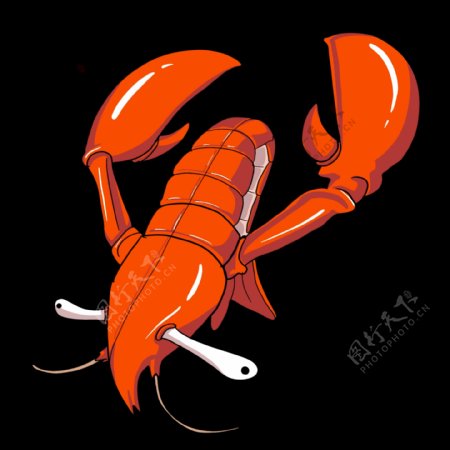 红色龙虾活虾插画