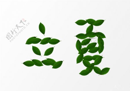 立夏树叶植物文字装饰元素
