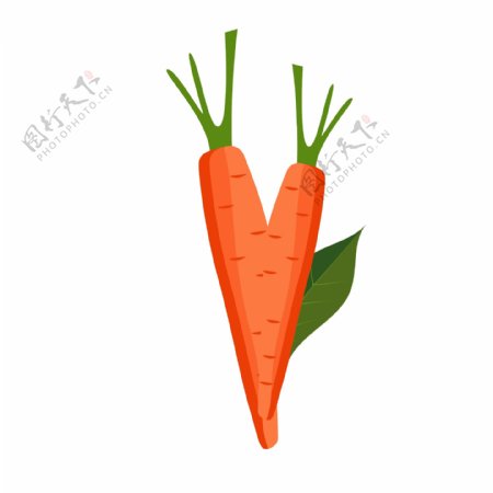 蔬菜水果两个胡萝卜矢量卡通