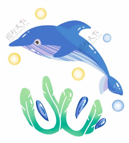 蓝色海豚水生物
