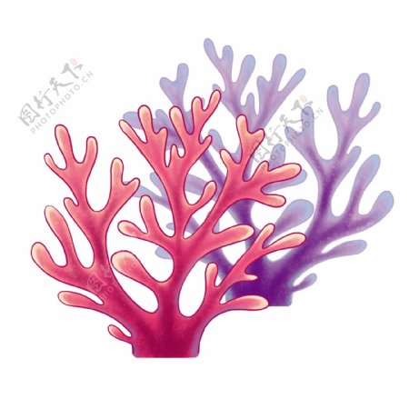 夏天海洋珊瑚粉色