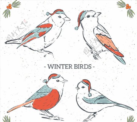彩绘冬季圣诞鸟类
