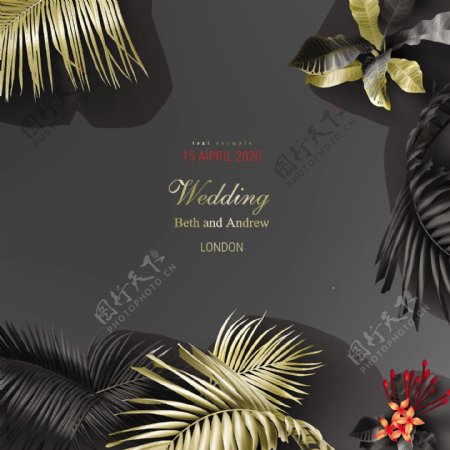 黑色抽象热带植物背景