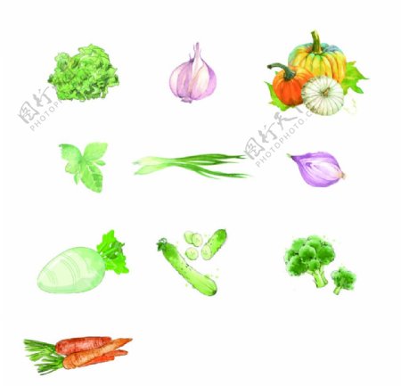 手绘蔬菜矢量图
