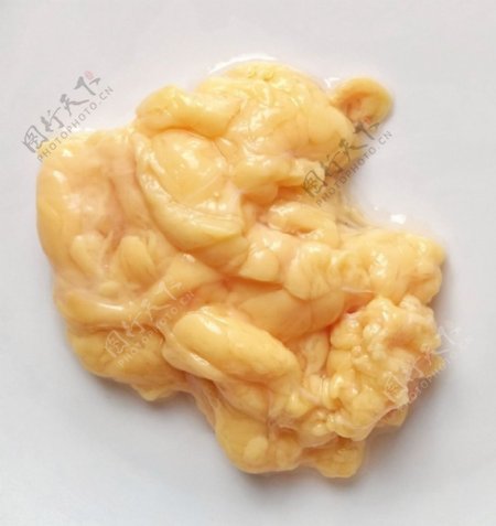 鸡油油脂黄色食品白底