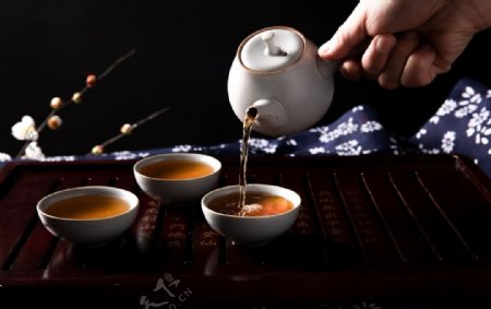 沏茶艺术