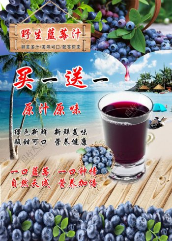 野生蓝莓汁
