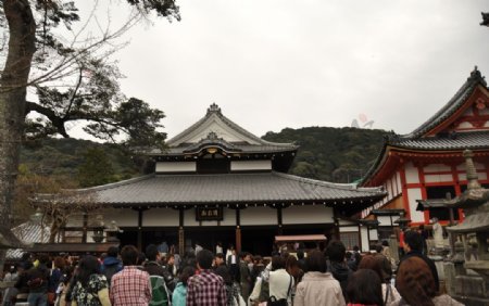 2019京都旅游摄影素