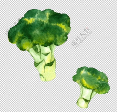 水彩创意插画水果蔬菜