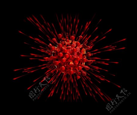 红色冠状病毒模型