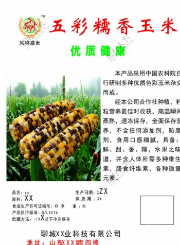 五彩玉米宣传图宣传页资料