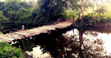 河水木桥草地树林风景