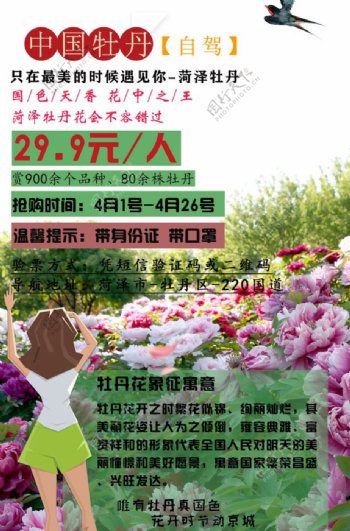 中国牡丹园自驾宣传海报