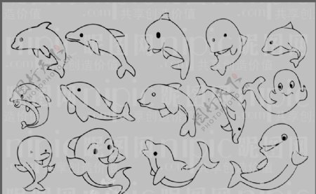海豚卡通