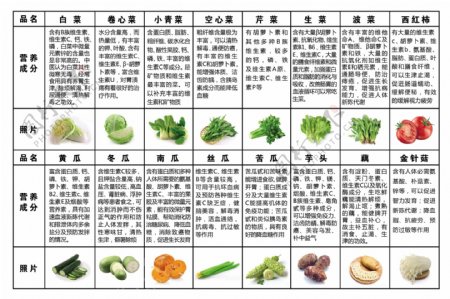 蔬菜营养表