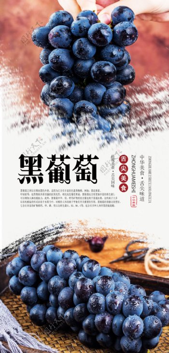 黑葡萄水果分层海报