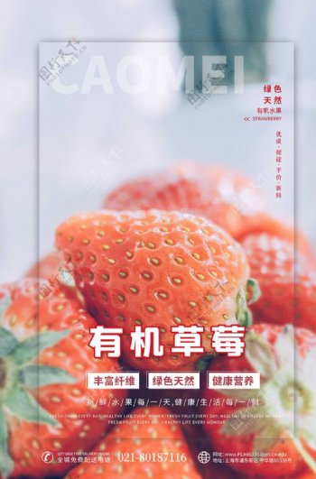 水果促销草莓红色简约海报