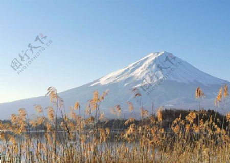 富士山