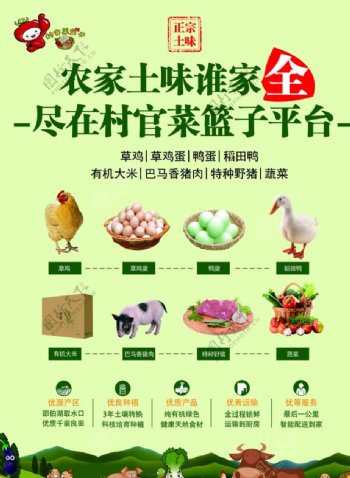 农家土味菜篮子海报